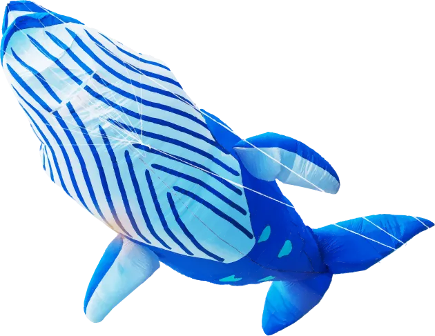 whale kite
